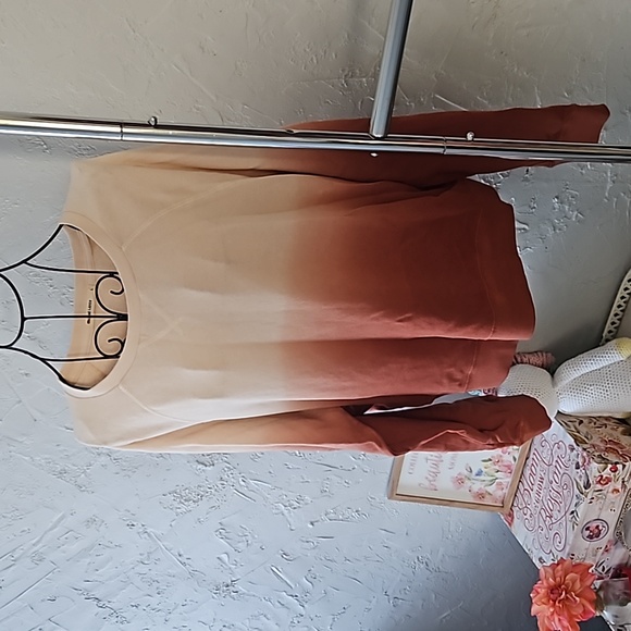 Marine Layer ombre sweatshirt. Size L. - Picture 1 of 8